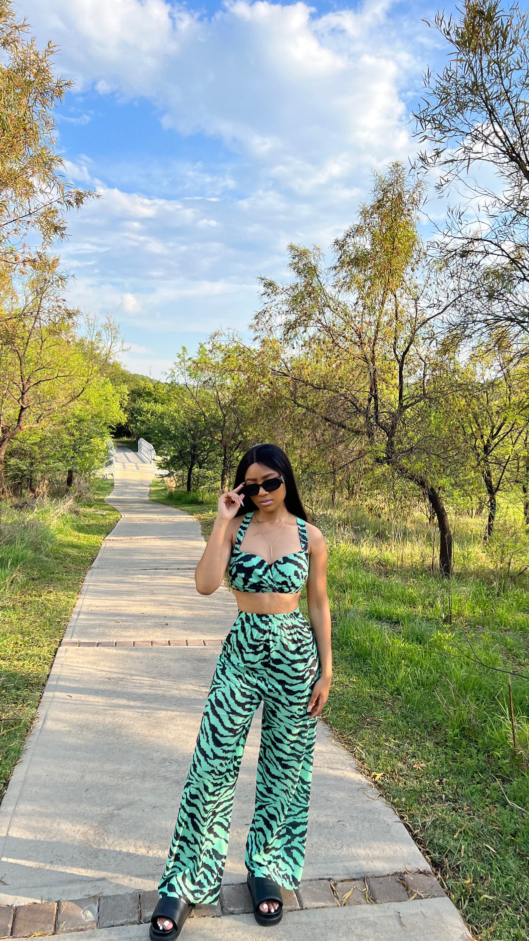 Zebra Pattern set